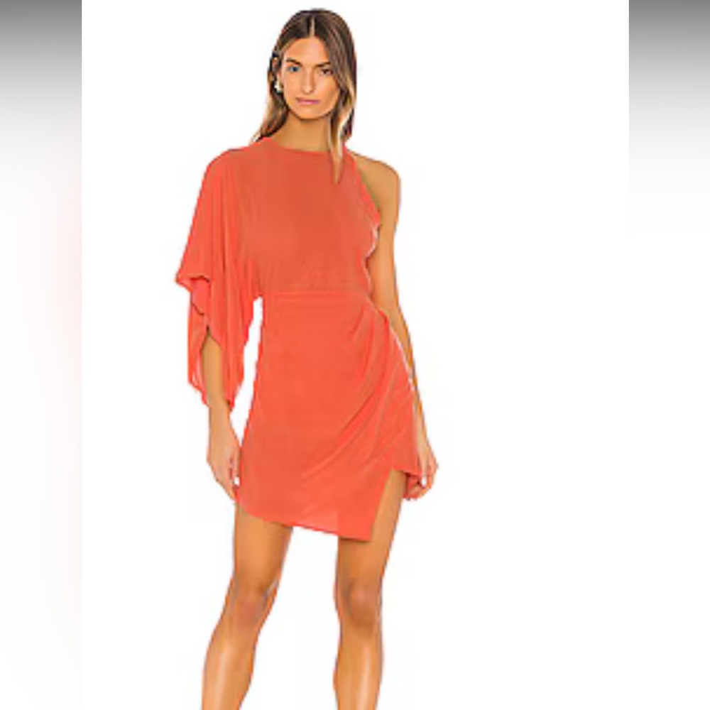 x REVOLVE Lexa Dress
Michael Costello